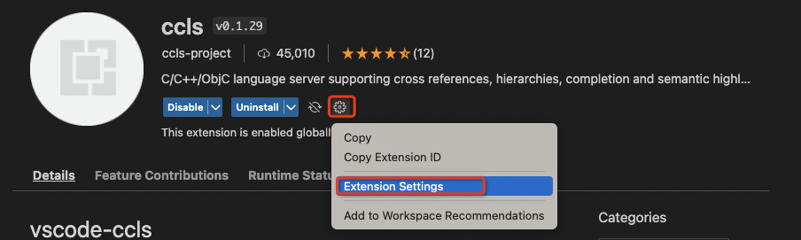 ccls plugin settings